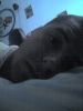 2006.05.15_-_01.jpg