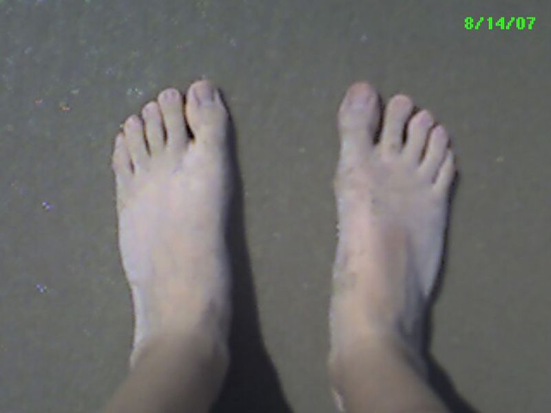 2007_08_14_-_Palm_-_006.jpg