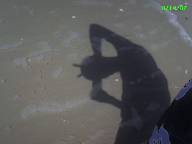2007_08_14_-_Palm_-_007.jpg