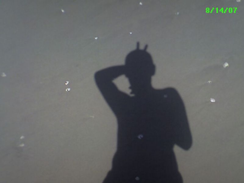 2007_08_14_-_Palm_-_008.jpg