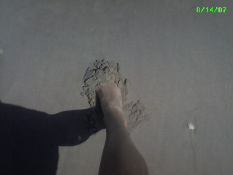 2007_08_14_-_Palm_-_009.jpg