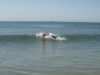 2007_08_14_-_003.JPG