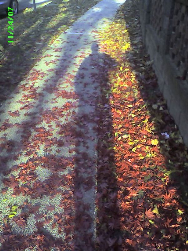 2007_11_24_-_008.jpg