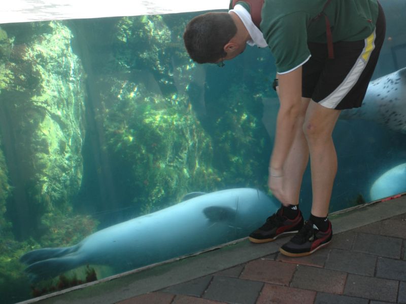 2008_09_08_-_Nikon_D70_-_018.JPG