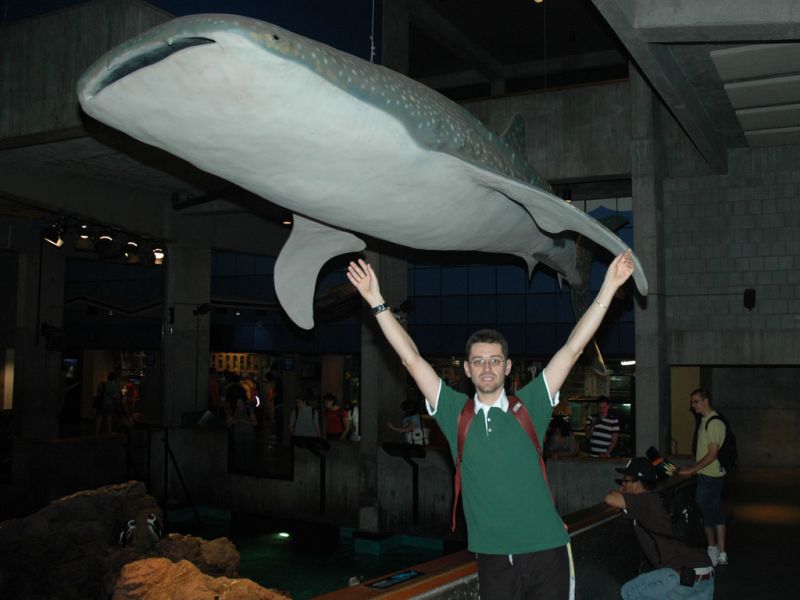 2008_09_08_-_Nikon_D70_-_063.JPG