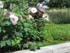 2010_08_13_-_Canon_A590_-_021.JPG