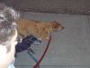 2011_06_26_-_028_-_Olympus_6020.JPG