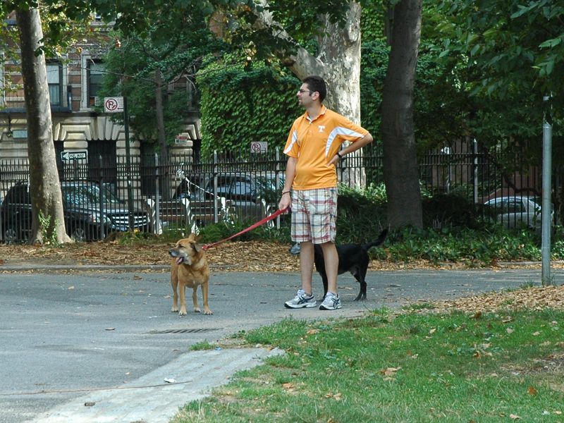 2012_09_02_-_010_-_Nikon_D70.JPG